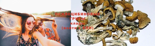 синтетический гашиш Алексин