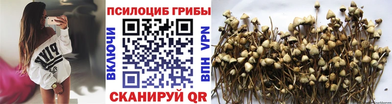 Галлюциногенные грибы Cubensis  Мураши 