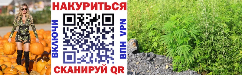 Бошки Шишки сатива  Мураши 